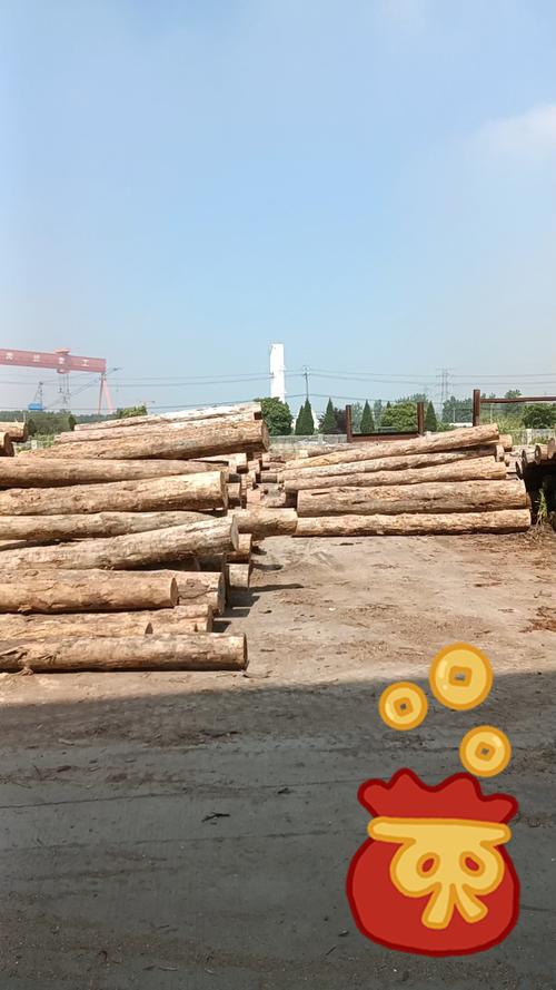 木材廠 從綠色資源到綠色財富的掘金之路